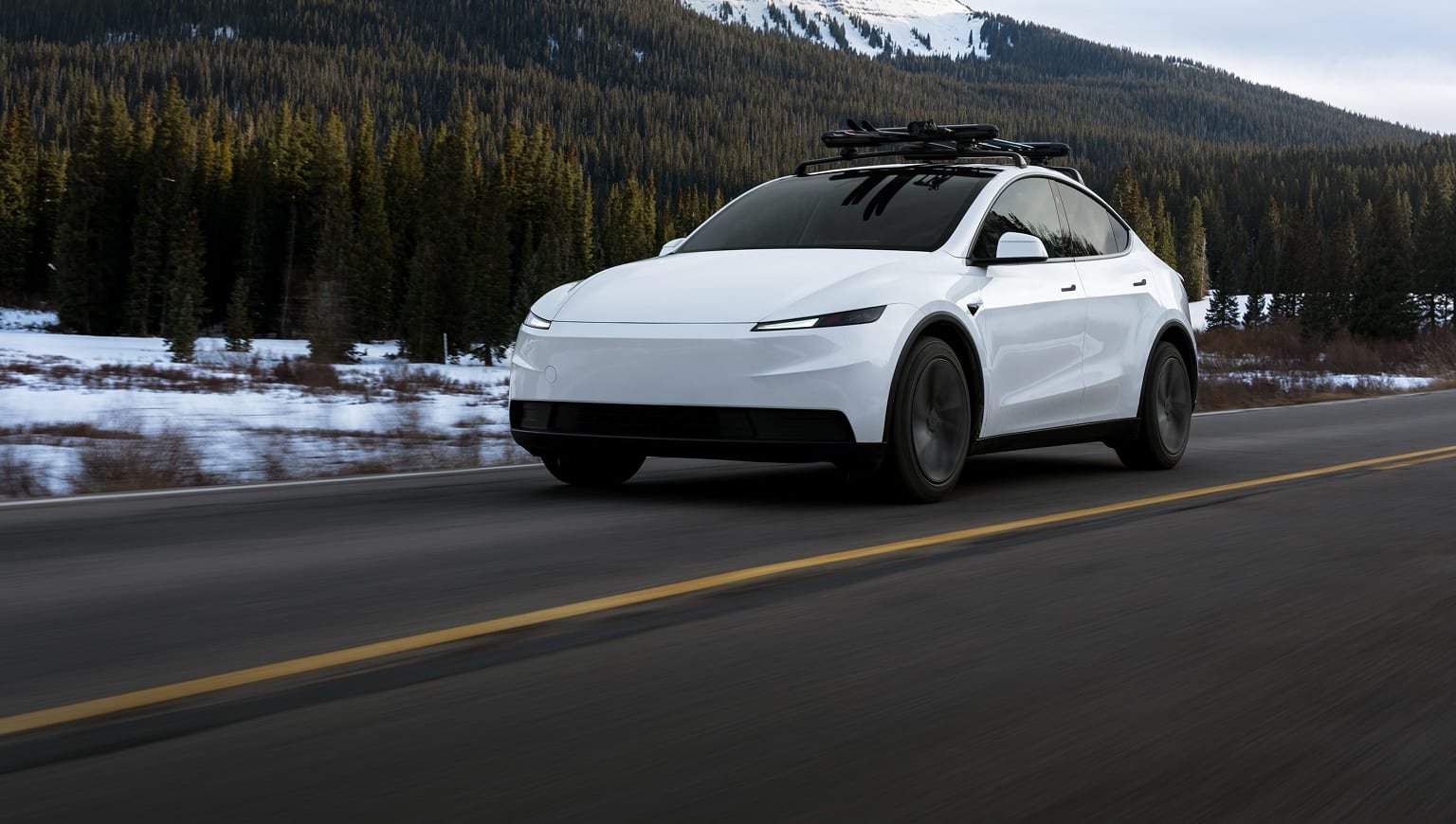 Model Y Investment